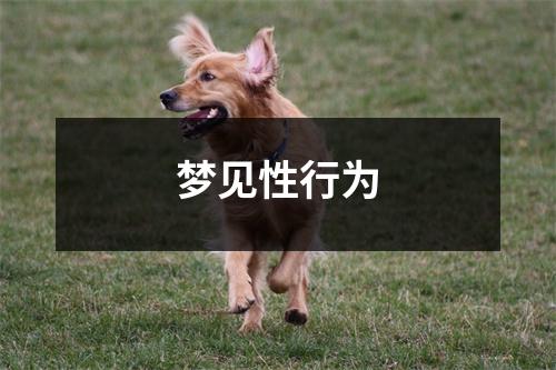 <h3>梦见性行为