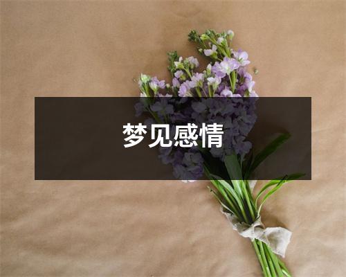 <h3>梦见感情