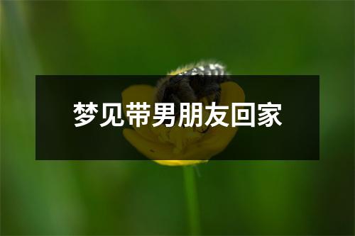 梦见带男朋友回家