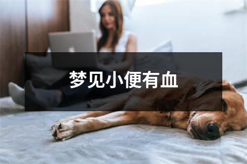<h3>梦见小便有血