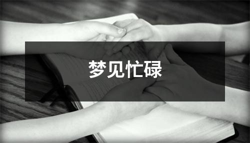 梦见忙碌