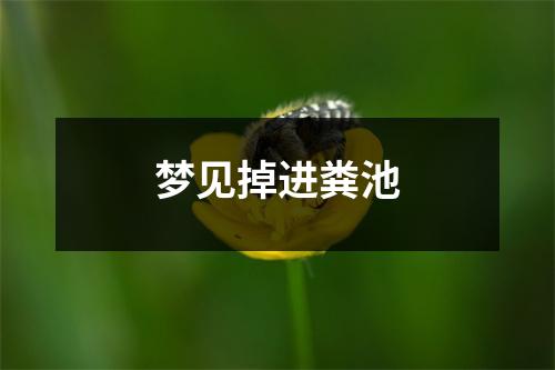 梦见掉进粪池
