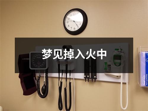 <h3>梦见掉入火中