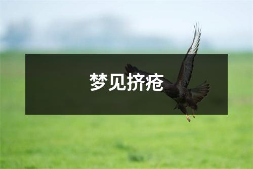 <h3>梦见挤疮