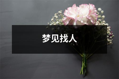 <h3>梦见找人