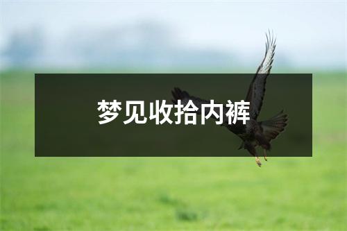 梦见收拾内裤
