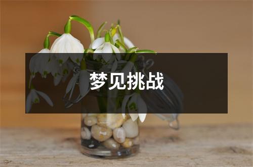 <h3>梦见挑战