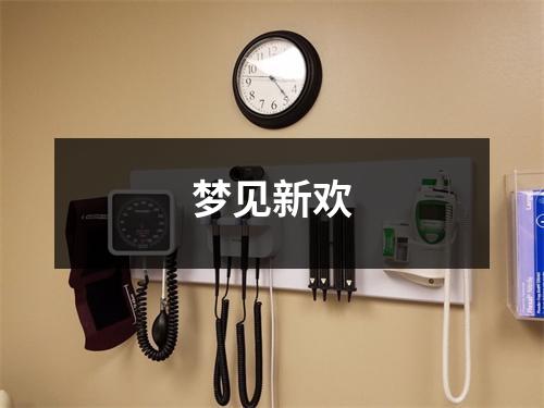 <h3>梦见新欢