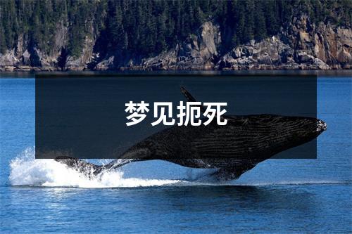 <h3>梦见扼死