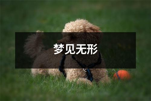 梦见无形