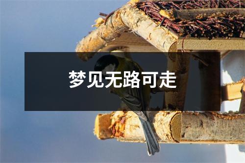 梦见无路可走