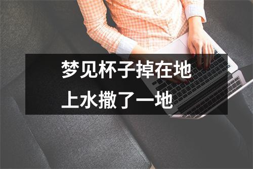 <h3>梦见杯子掉在地上水撒了一地