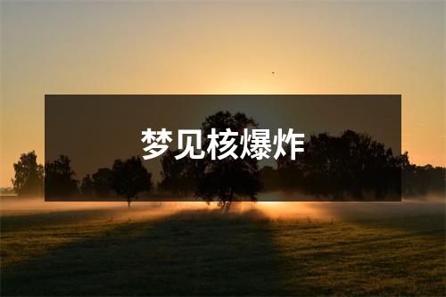 <h3>梦见核爆炸