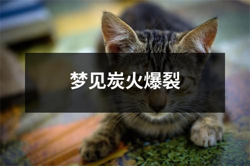 梦见炭火爆裂