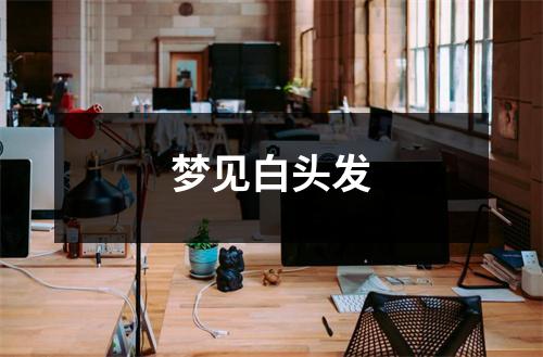 <h3>梦见白头发