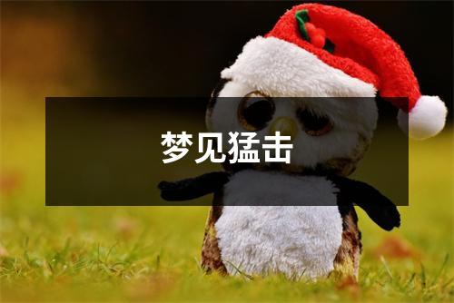 <h3>梦见猛击