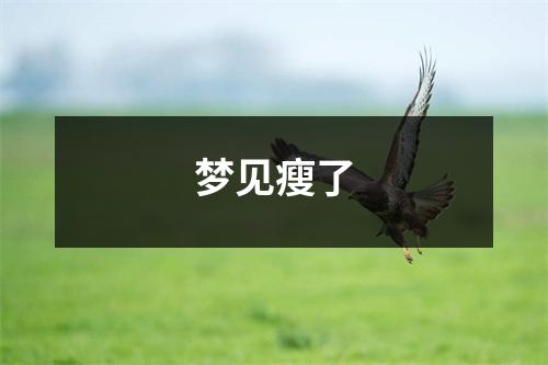 梦见瘦了