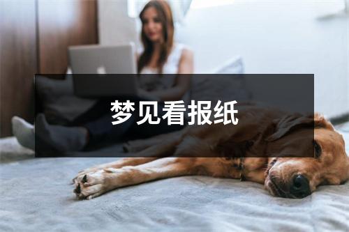 <h3>梦见看报纸