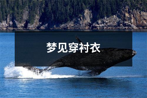 <h3>梦见穿衬衣
