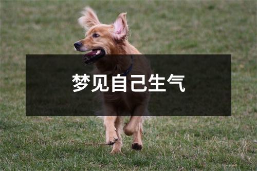 梦见自己生气