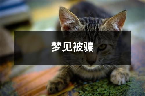 梦见被骗