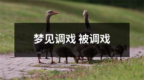 <h3>梦见调戏被调戏
