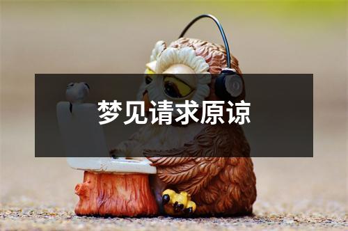 梦见请求原谅