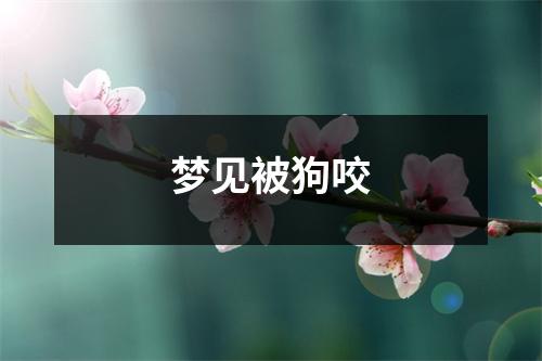 梦见被狗咬