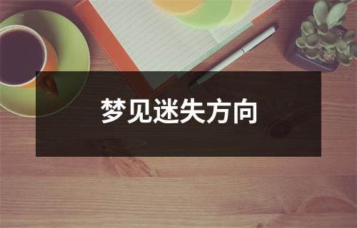 <h3>梦见迷失方向