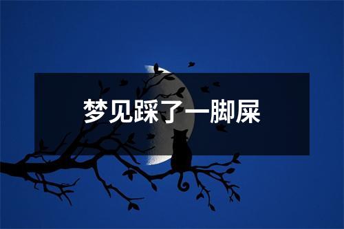 <h3>梦见踩了一脚屎
