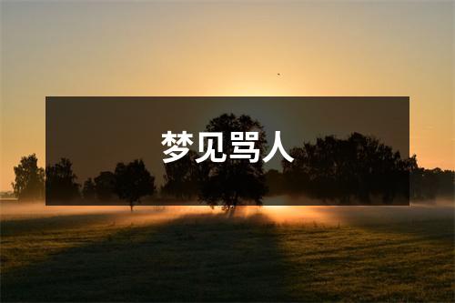 <h3>梦见骂人