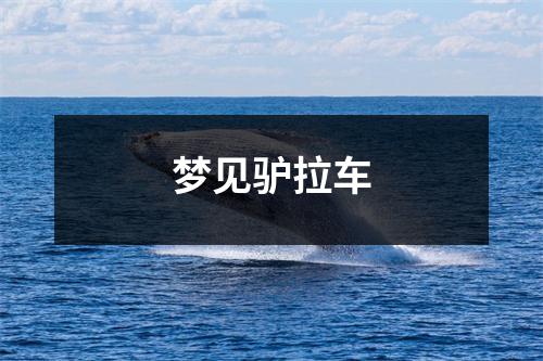 <h3>梦见驴拉车