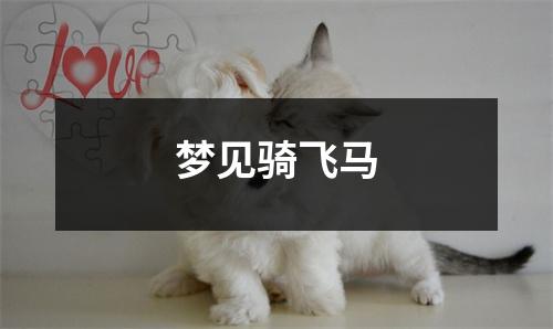梦见骑飞马