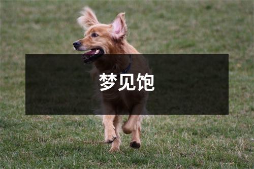 <h3>梦见饱