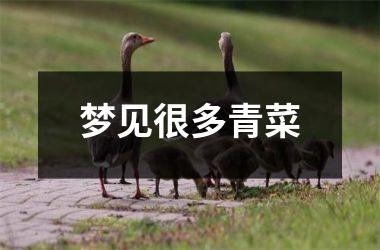 <h3>梦见很多青菜