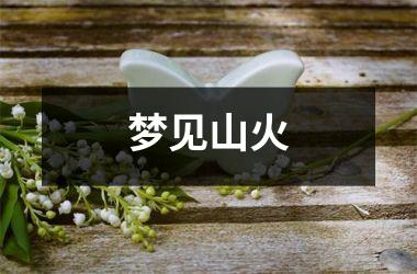 梦见山火