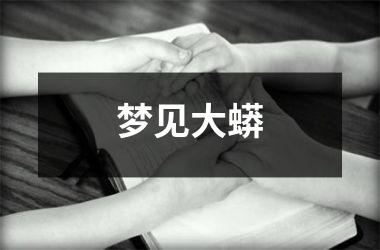 <h3>梦见大蟒