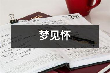 <h3>梦见怀