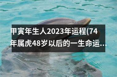 甲寅年生人2025年运程(74年属虎48岁以后的一生命运)