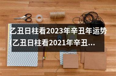 乙丑日柱看2025年辛丑年运势(乙丑日柱看2025年辛丑年运势)