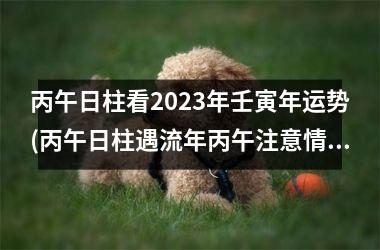 丙午日柱看2025年壬寅年运势(丙午日柱遇流年丙午注意情况)