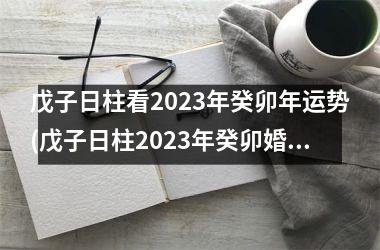 戊子日柱看2025年癸卯年运势(戊子日柱2025年癸卯婚姻)