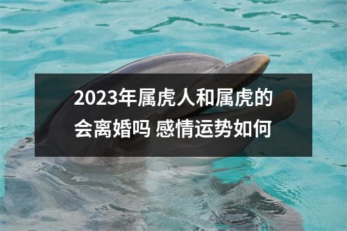 2025年属虎人和属虎的会离婚吗感情运势如何