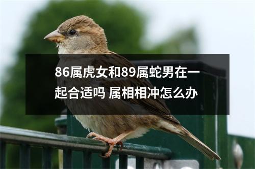 86属虎女和89属蛇男在一起合适吗属相相冲怎么办