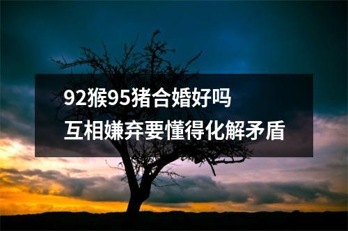 92猴95猪合婚好吗互相嫌弃要懂得化解矛盾