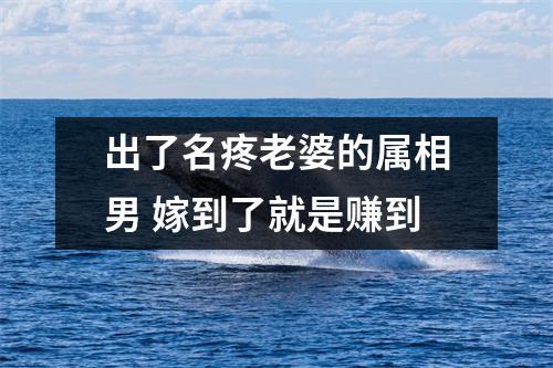 <h3>出了名疼老婆的属相男嫁到了就是赚到