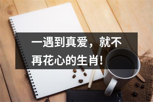 <h3>一遇到真爱，就不再花心的生肖!