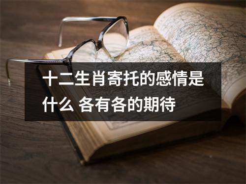 <h3>十二生肖寄托的感情是什么各有各的期待