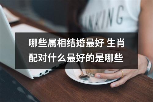 <h3>哪些属相结婚好生肖配对什么好的是哪些
