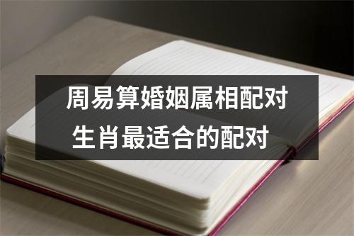 <h3>周易算婚姻属相配对生肖适合的配对